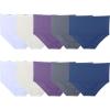 imageFruit of the Loom Womens Fit for Me Plus Size Assorted Seamless Brief Underwear 10 PackPlus Size Brief  10 Pack  BluePurpleGrey