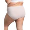 imageFruit of the Loom Womens Plus Size Underwear Briefs Designed to Fit Your CurvesBrief  Cooling Stripes  Colors May Vary