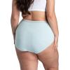 imageFruit of the Loom Womens Plus Size Underwear Briefs Designed to Fit Your CurvesBrief  Cotton  Colors May Vary