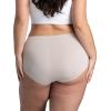 imageFruit of the Loom Womens Plus Size Underwear Briefs Designed to Fit Your CurvesBrief  Microfiber  Colors May Vary