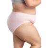 imageFruit of the Loom Womens Plus Size Underwear Briefs Designed to Fit Your CurvesHi Cut  Micro Mesh  Colors May Vary