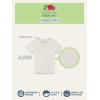 imageFruit of the Loom Boys Eversoft Cotton Undershirts T Shirts ampamp Tank TopsT Shirt  Toddler  12 Pack  Natural Cotton