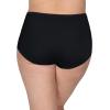 imageFruit of the Loom Womens Lightweight Microfiber Underwear Smooth Under Clothes Available Size Brief12 PackColors May Vary 9 Plus