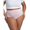 imageFruit of the Loom Womens Breathable Underwear Moisture Wicking Keeps You Cool ampamp Comfortable Available in Plus SizeMicro Mesh  Plus Size Brief  10 Pack  Colors May Vary